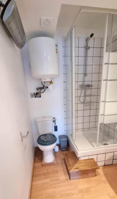 Studio En Rez De Jardin Avec Terrasse Privee - Le Petit Chateau Avesnois - Tv - Wifi - Logement Complet Avesnes-sur-Helpe Bagian luar foto