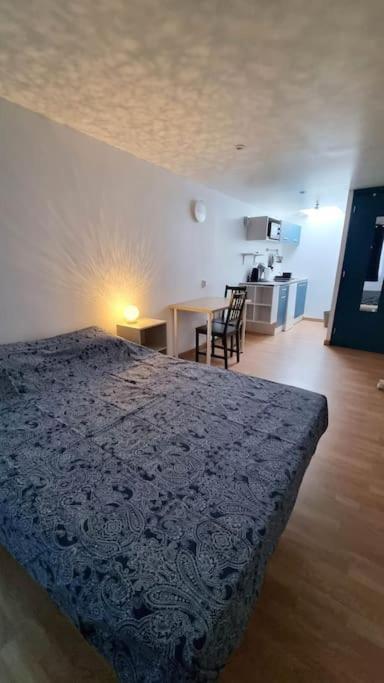 Studio En Rez De Jardin Avec Terrasse Privee - Le Petit Chateau Avesnois - Tv - Wifi - Logement Complet Avesnes-sur-Helpe Bagian luar foto